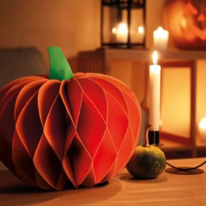 CITROUILLE PLIABLE - LEGAMI